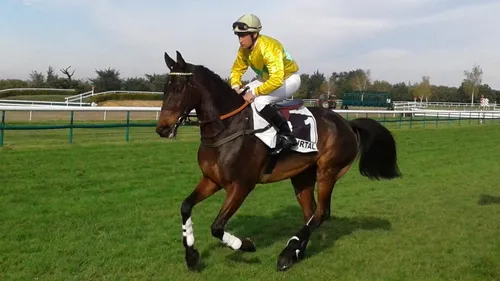 Hippisme : nos préférés pour ce dimanche 26 mars